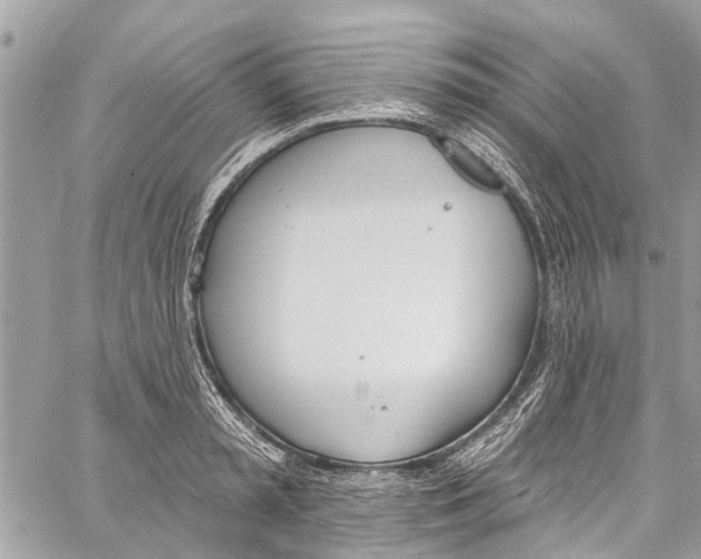 X0000060270797200511181418