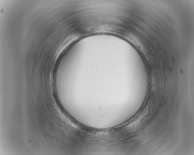 X0000060270798200511181418