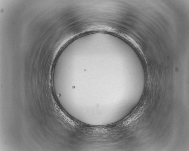 X0000060270799200511181418