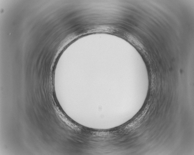 X0000060270800200511181418