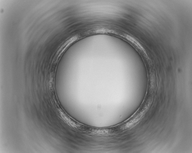 X0000060270801200511181418