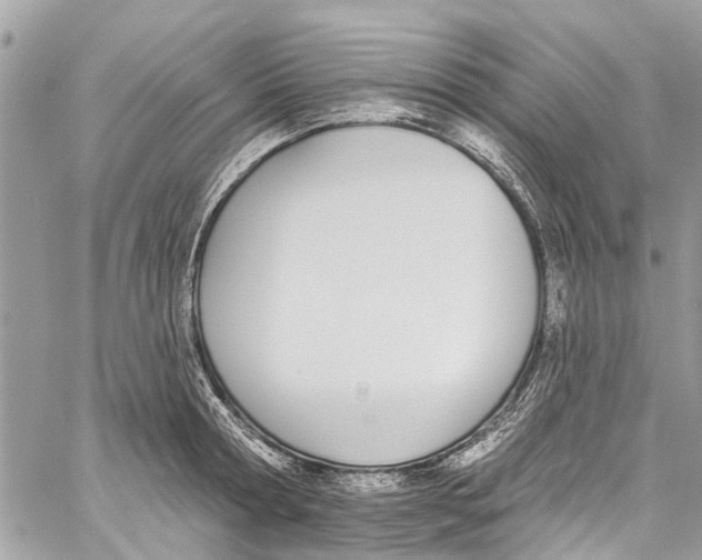 X0000060270802200511181418