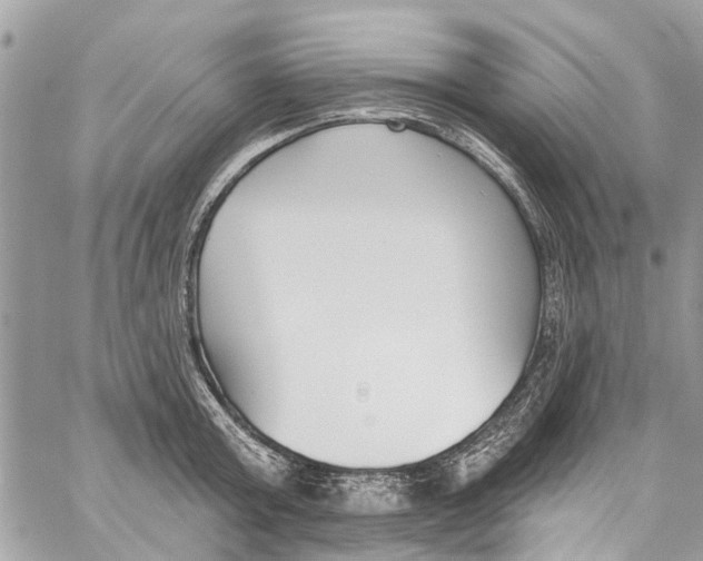 X0000060270803200511181418