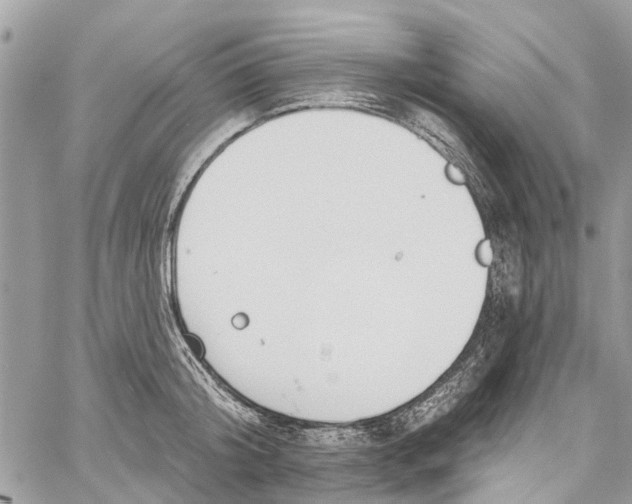 X0000060270804200511181418