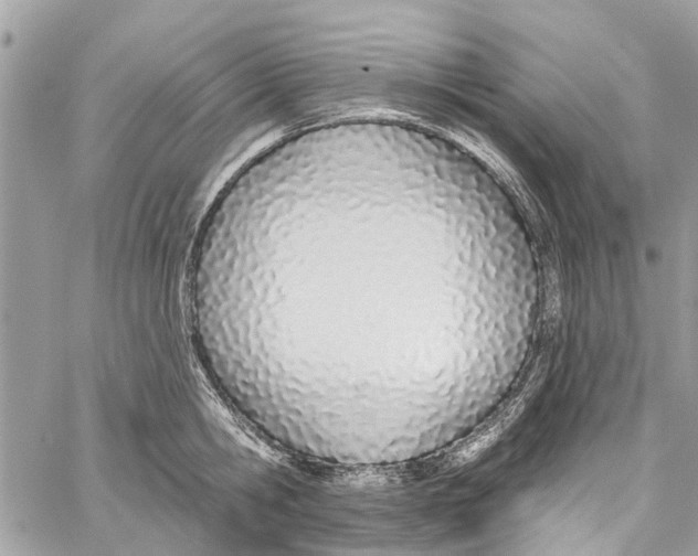 X0000060270806200511181418