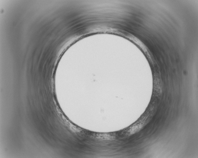 X0000060270807200511181418