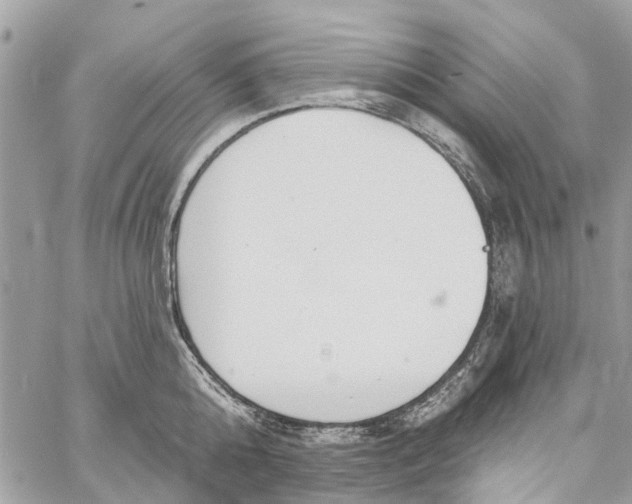 X0000060270808200511181418