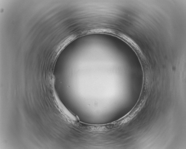 X0000060270809200511181418