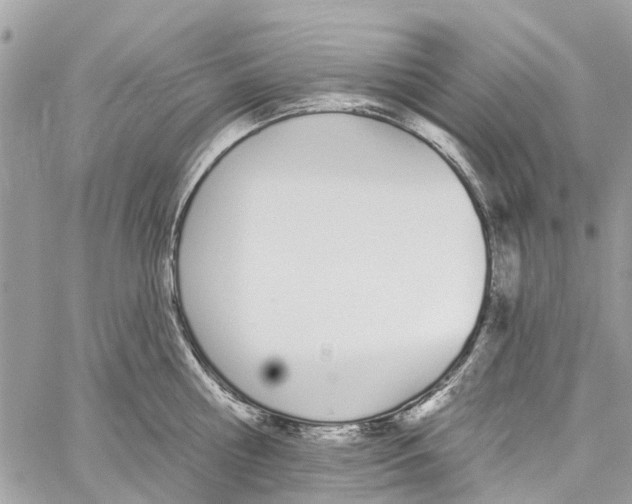 X0000060270810200511181418