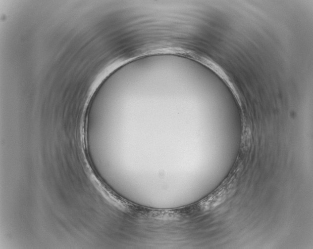 X0000060270811200511181418