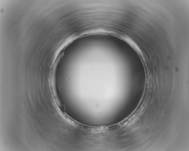 X0000060270813200511181418