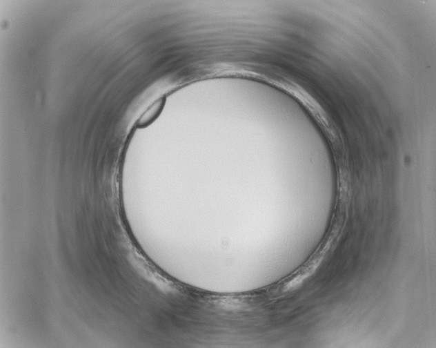 X0000060270814200511181418