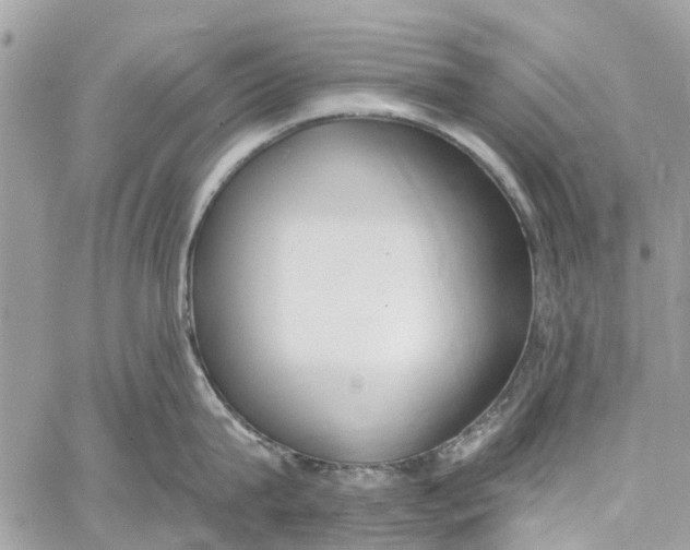 X0000060270815200511181418