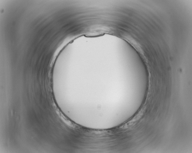 X0000060270816200511181418