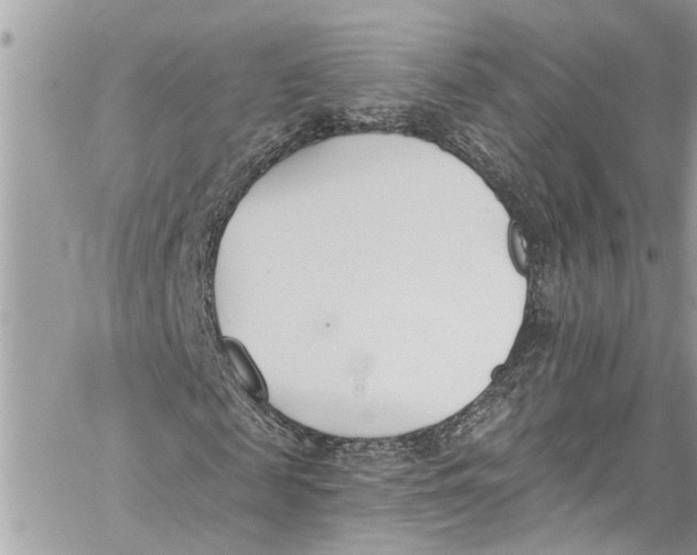 X0000060270817200511181417