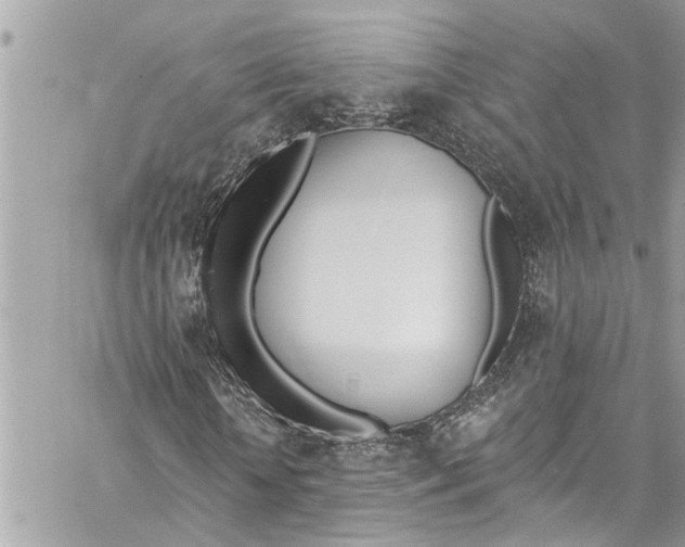 X0000060270818200511181417