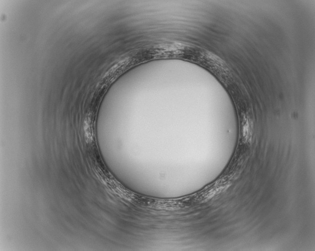 X0000060270819200511181417