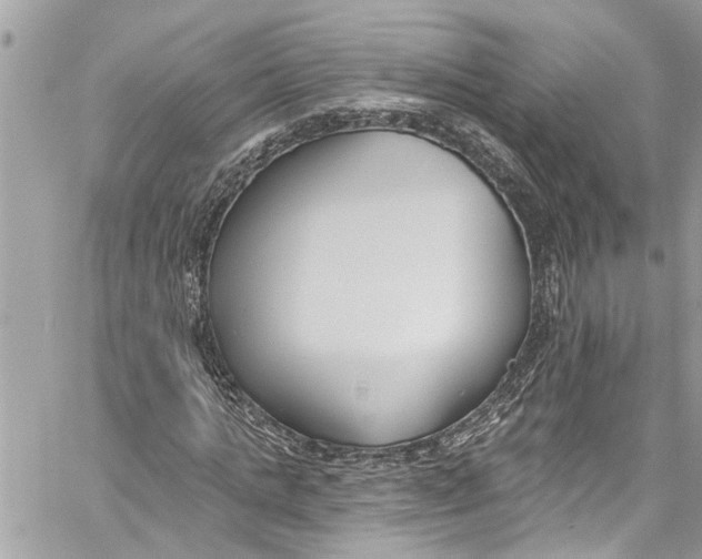 X0000060270821200511181417