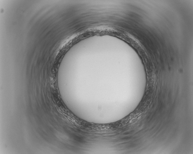 X0000060270823200511181417