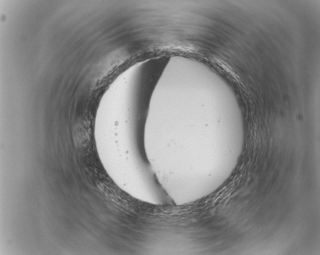 X0000060270824200511181417