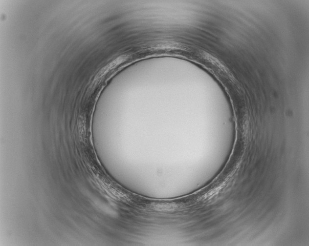 X0000060270825200511181417