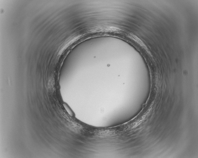 X0000060270826200511181417