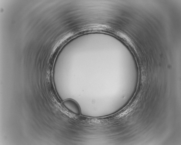 X0000060270827200511181417