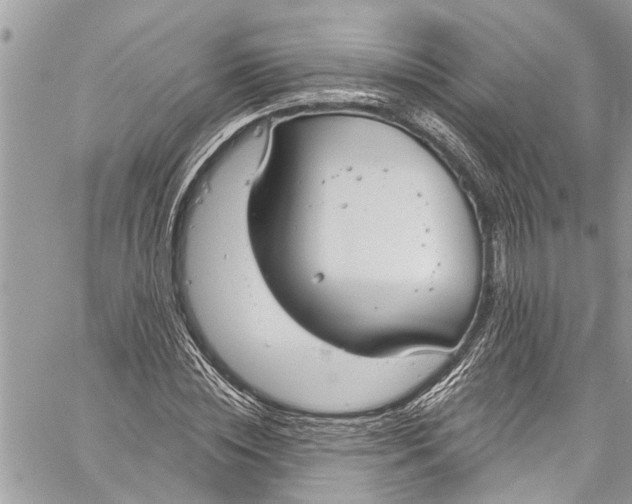 X0000060270828200511181417