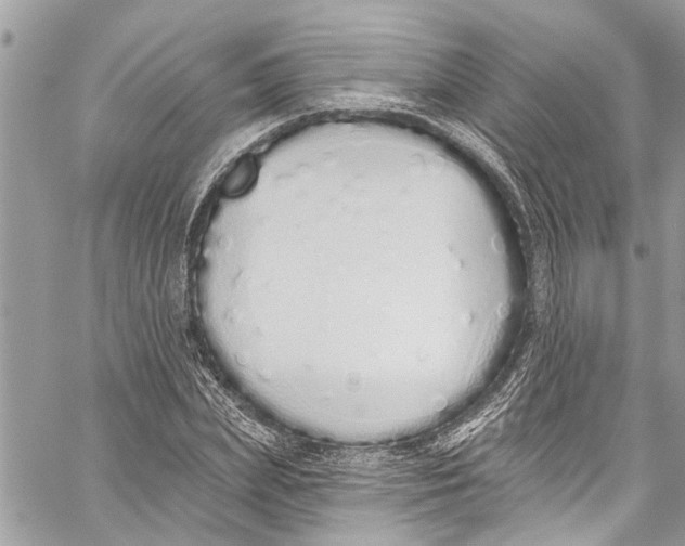 X0000060270831200511181417