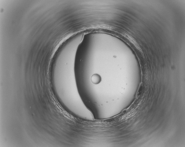 X0000060270832200511181417