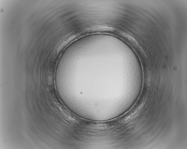 X0000060270833200511181417