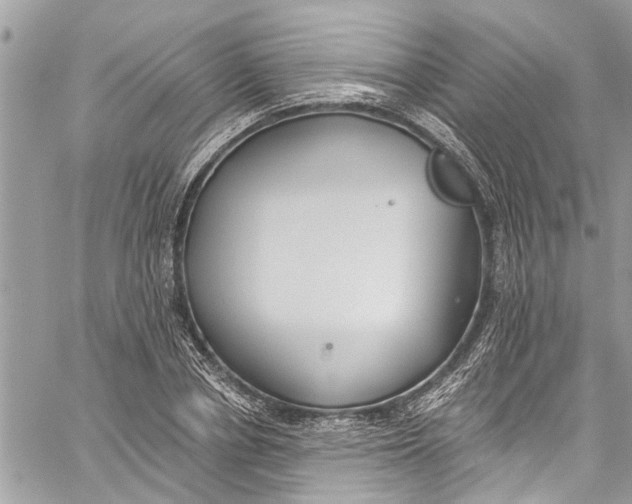 X0000060270834200511181417