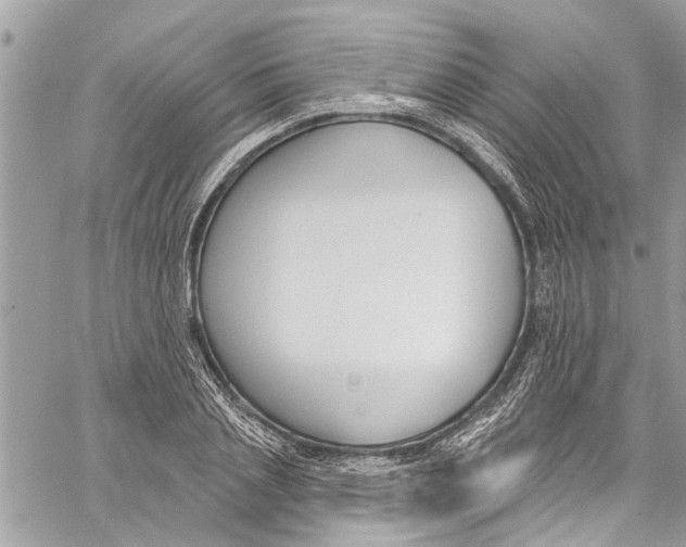 X0000060270837200511181417