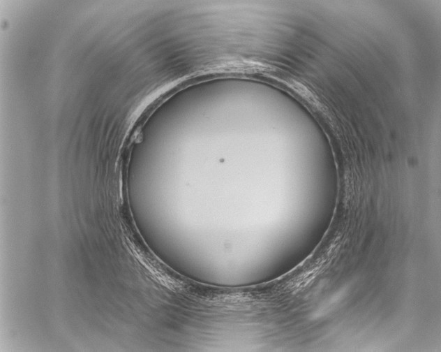 X0000060270838200511181417