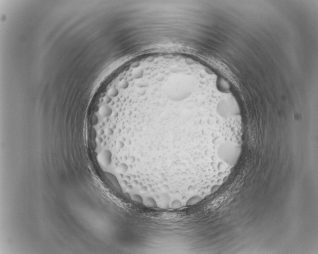 X0000060270839200511181417