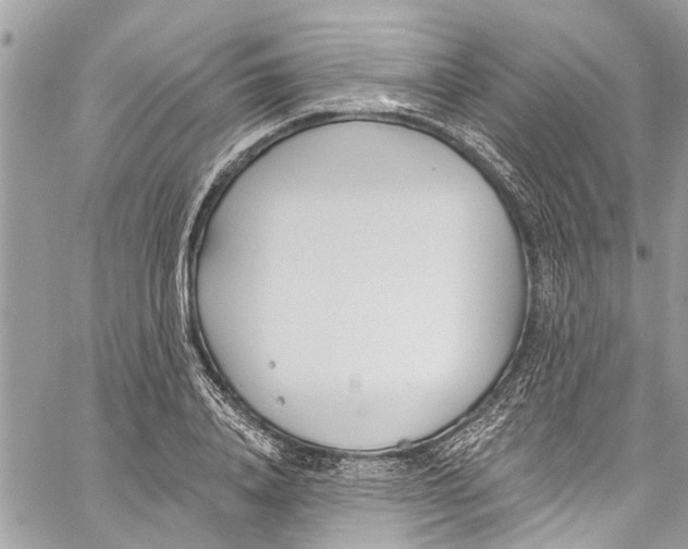 X0000060270840200511181417