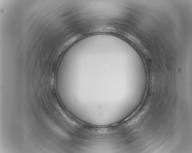 X0000060270841200511181417