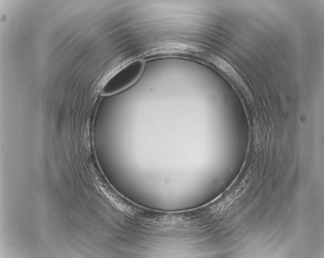 X0000060270842200511181417