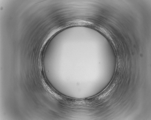 X0000060270843200511181417