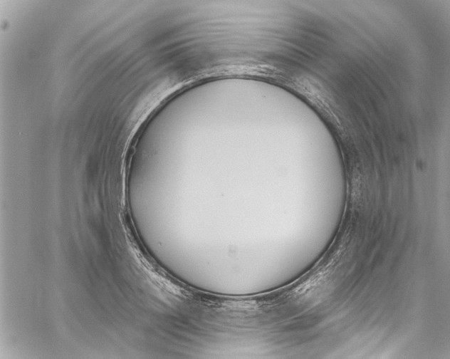 X0000060270844200511181417