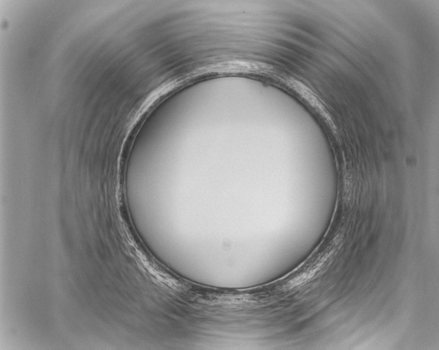 X0000060270845200511181417