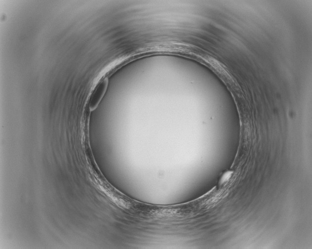 X0000060270846200511181417