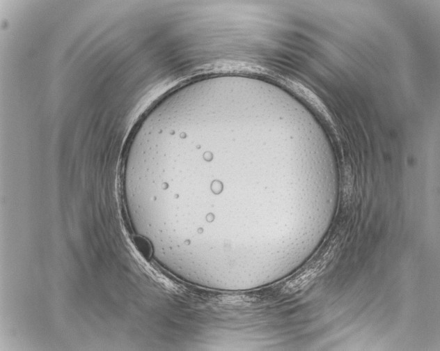 X0000060270847200511181417