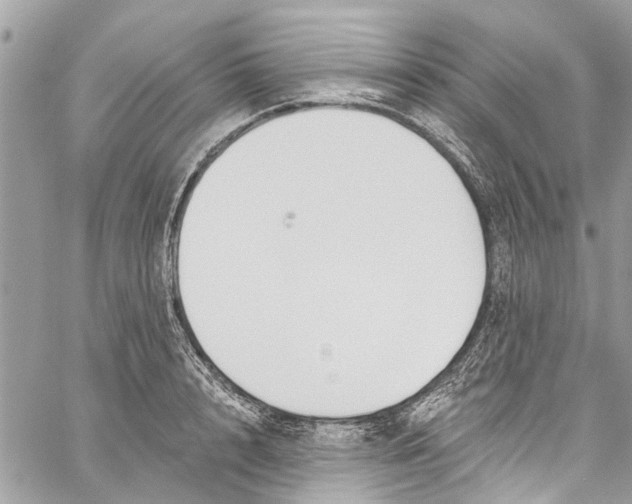 X0000060270848200511181417