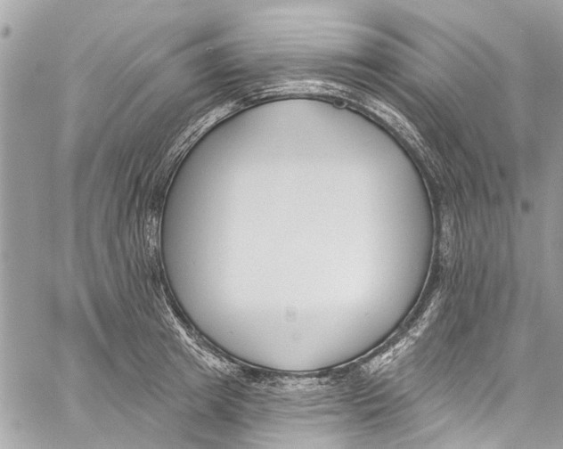 X0000060270849200511181417