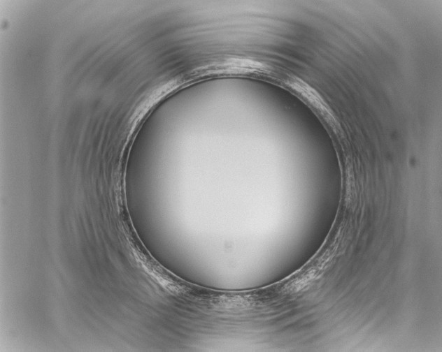 X0000060270850200511181417