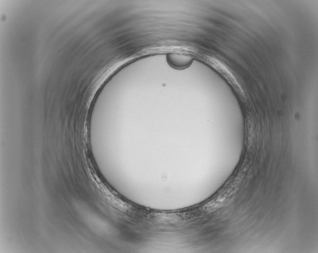 X0000060270852200511181417