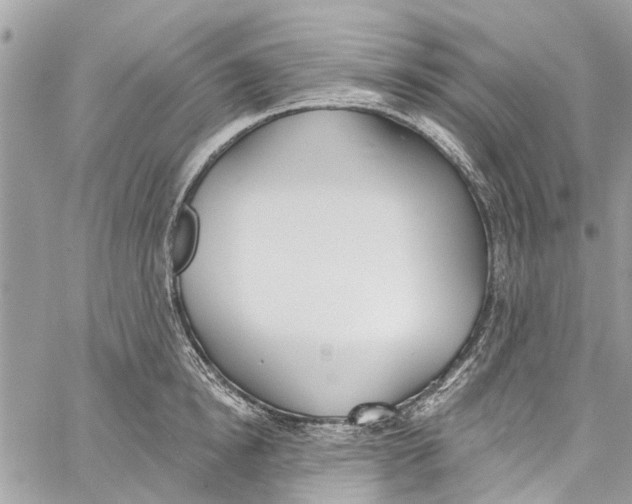 X0000060270854200511181417