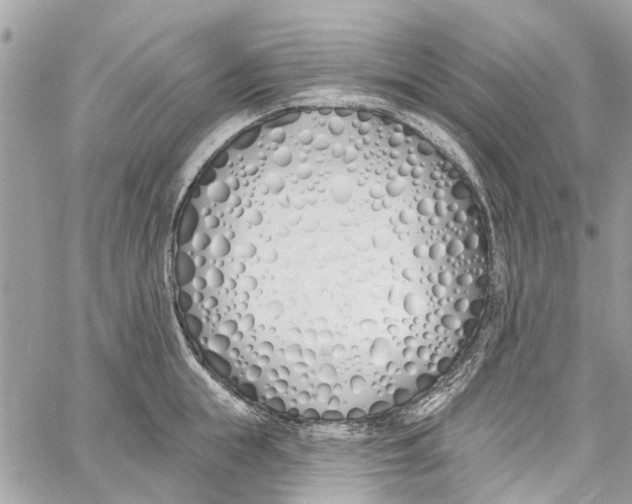 X0000060270855200511181418