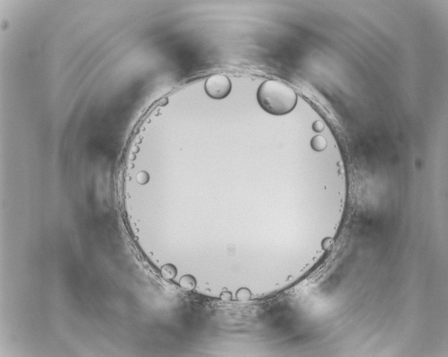 X0000060270856200511181418